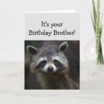 Birthday BROTHER Fun Age Humour Sad Racoon Humour Card<br><div class="desc">Birthday Blahs for your BROTHER Fun Age Just because you've had a lot of them.  Humourous depressed Racoon Animal art</div>