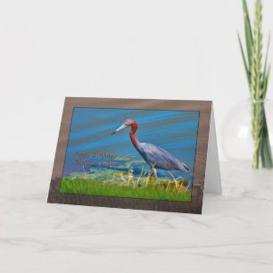 Birthday, Brother-in-law,  Little Blue Heron Bird Card