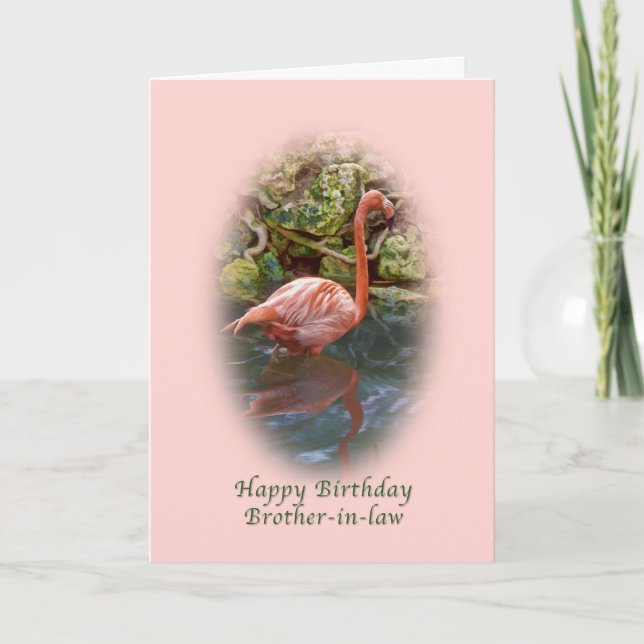 Birthday, Brother-in-law, Pink Flamingo Card (Front)