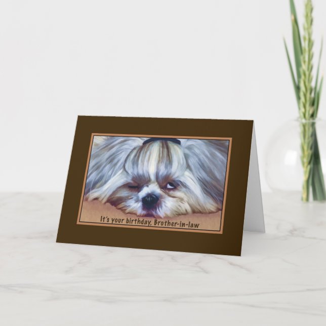 Birthday, Brother-in-law, Sleepy Shih Tzu Dog Card (Front)