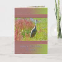 Birthday, Brother,  Sandhill Crane Bird