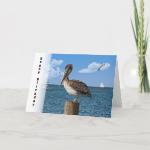 Birthday, Brown Pelican with Seascape Card