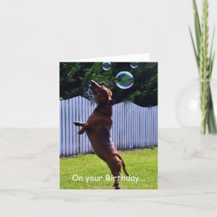 Birthday Bubble Dog Card