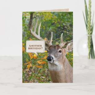 Birthday Buck In Woods Card