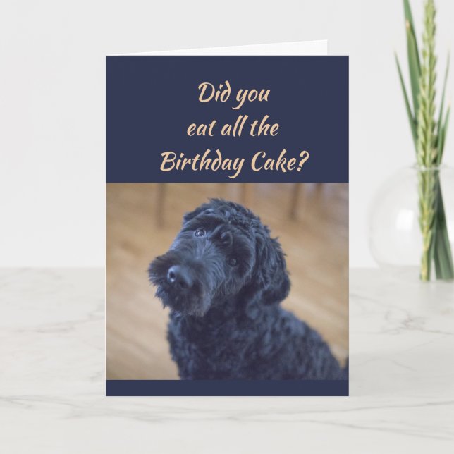 Birthday Cake Humour Cute Black Curly Dog Pet Card (Front)