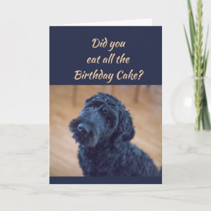 Birthday Cake Humour Cute Black Curly Dog Pet Card