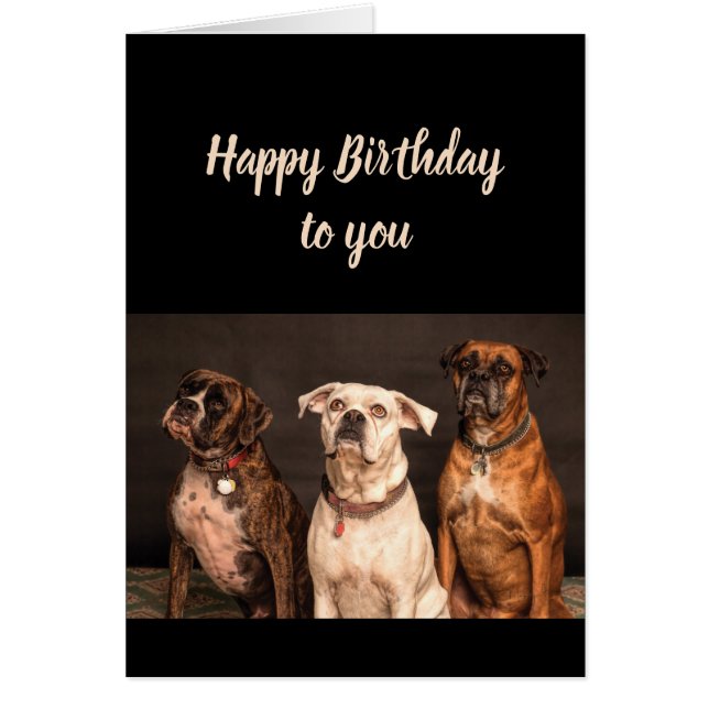 Birthday Cake Humour From all of Us Boxer Dog Fun (Front)