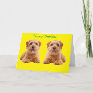 Birthday Card
