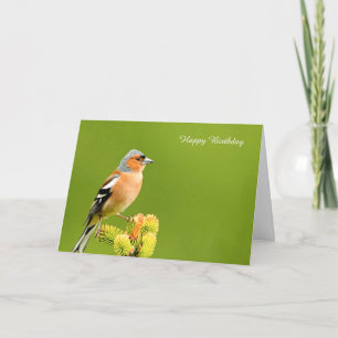Birthday Card