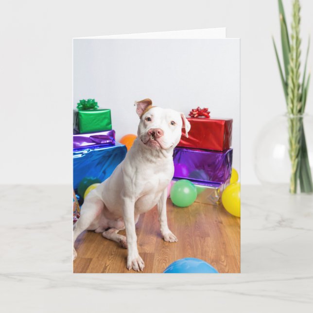 Birthday card (Front)