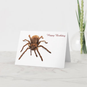 Birthday Card