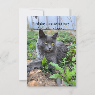 birthday card