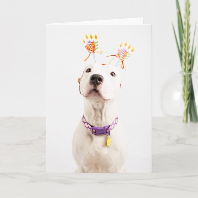 Birthday Card (Front)