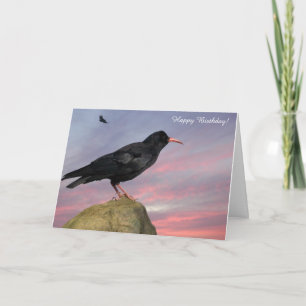 Birthday Card