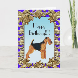 Birthday Card - Airedale Terrier