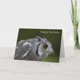 Birthday Card - Baby Grey Owl