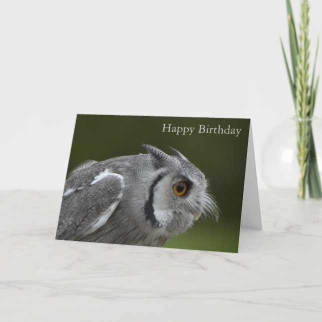 Birthday Card - Baby Grey Owl (Front)