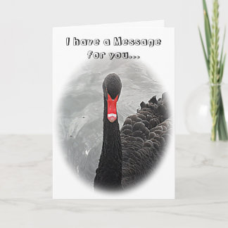 Birthday Card - Black Swan
