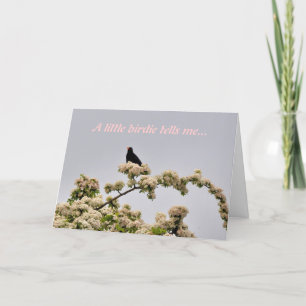 Birthday Card: Blackbird Card