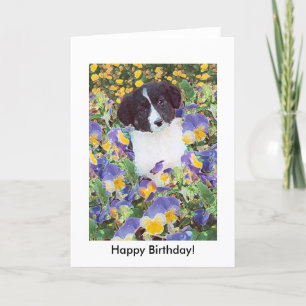 birthday card - Border Collie Pup and Flowers