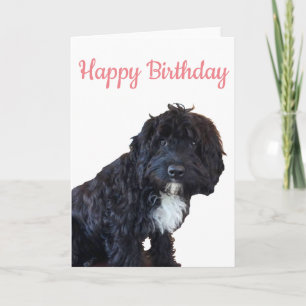 Birthday Card -  Cockapoo Puppy Greeting Card