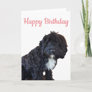 Birthday Card - Cockapoo Puppy Greeting Card