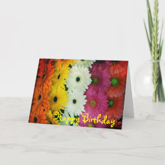 Birthday card~ Colourful Gerbera Daisy Card