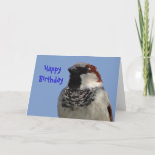 Birthday card cute little bird
