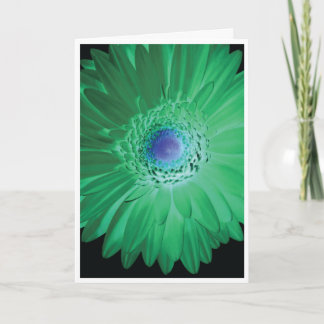 Birthday Card - Don't be negative