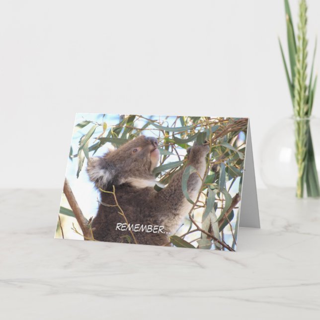 Birthday card featuring koala (Front)