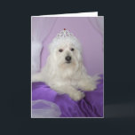 Birthday Card for Granddaughter -- Princess<br><div class="desc">This adorable dog princess photo makes a great birthday card for your granddaughter! Image and verse  Kathy Henis</div>