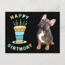 Birthday card French Bulldog postcard