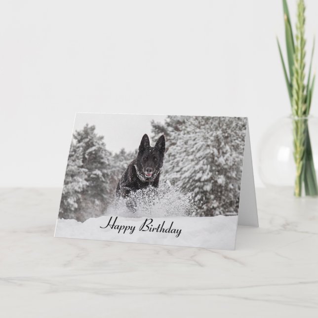 Birthday Card German Shepherd Dog in snow (Front)