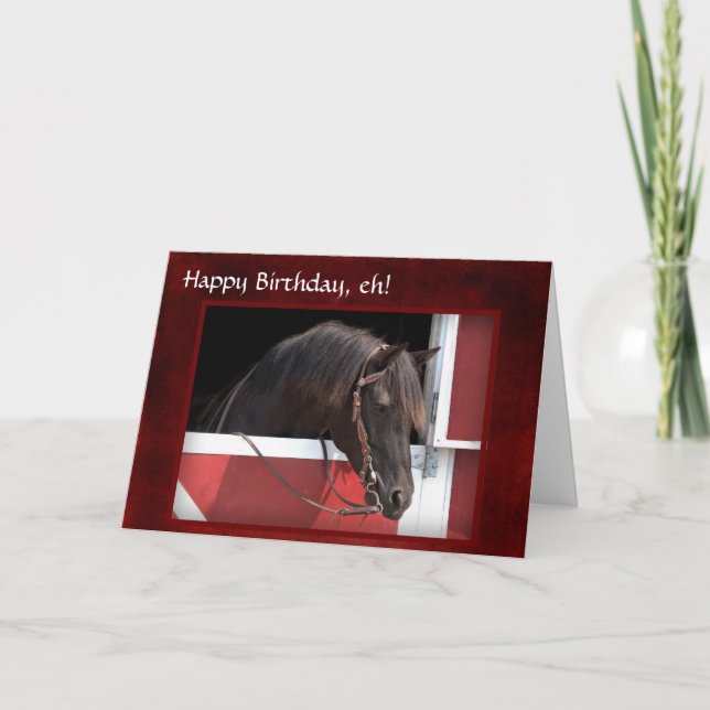 Birthday Card "Happy Birthday, eh"  (Front)