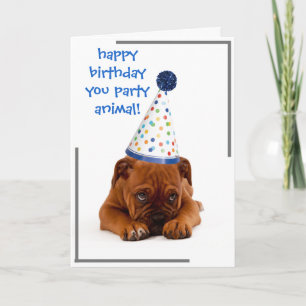 Birthday Card - Happy Birthday You Party Animal!