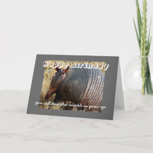 birthday card humour armadillo photo art