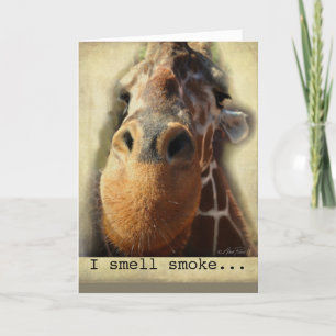 birthday card humour giraffe nose