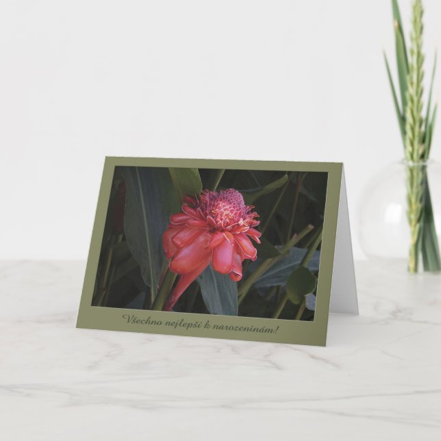 Birthday card in Czech (Front)