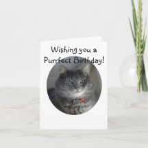 Birthday Card - Merlin the Cat