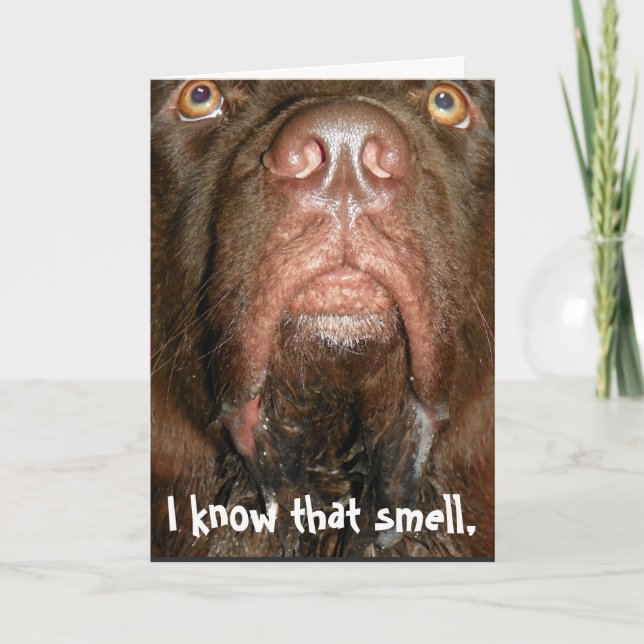 Birthday Card ~ Newfoundland dog (Front)