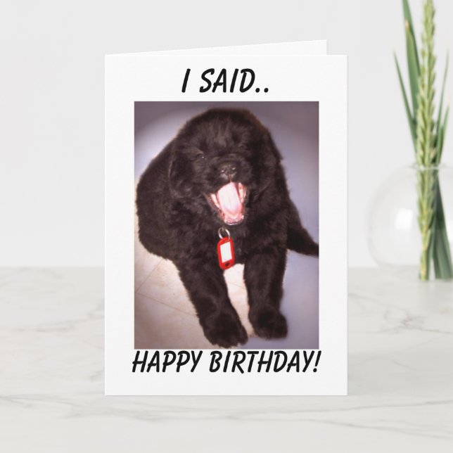 Birthday Card Newfoundland Puppy (Front)