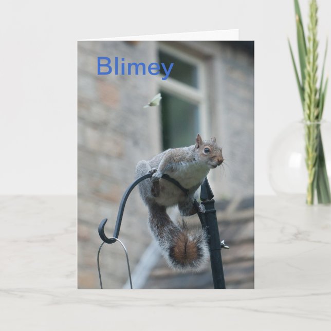 Birthday Card: Squirrel & Butterfly Card (Front)