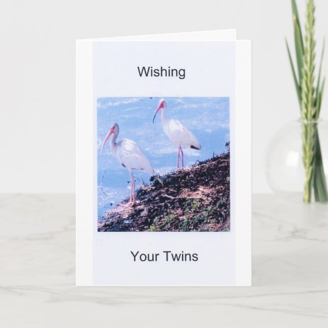 Birthday Card-Twins Card (Front)