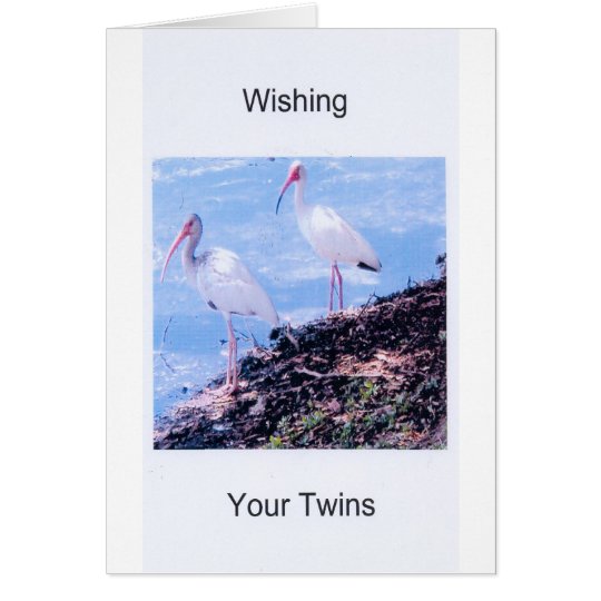Birthday Card-Twins Card