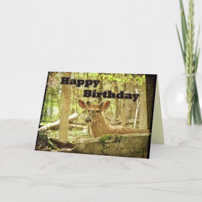 Birthday Card - Whitetail Deer Buck in Velvet (Front)