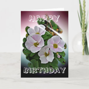 Birthday Card - Winter Flowers