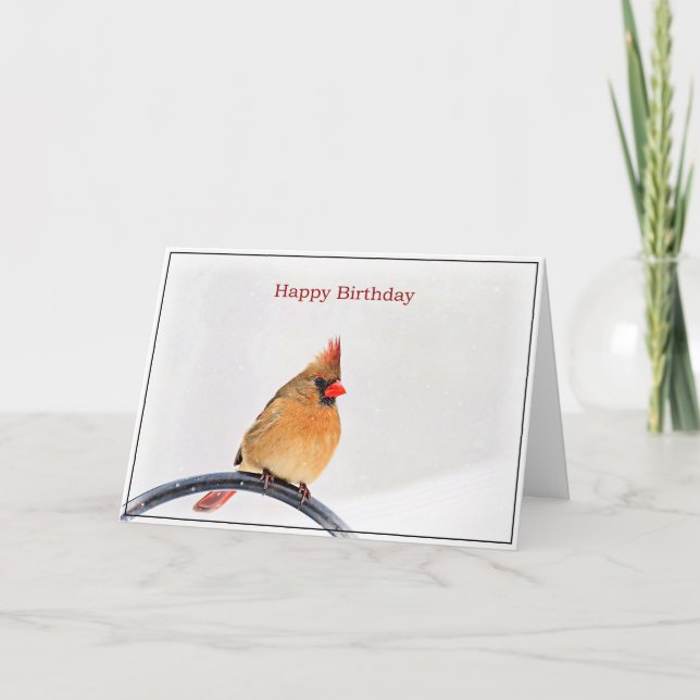 Birthday Card with a female Cardinal (Front)