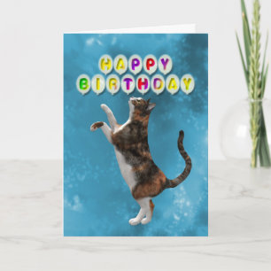 Birthday card with calico cats