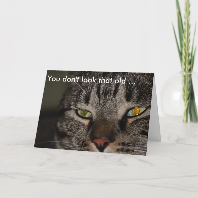 Birthday Card with Cat: You don't look that old … (Front)