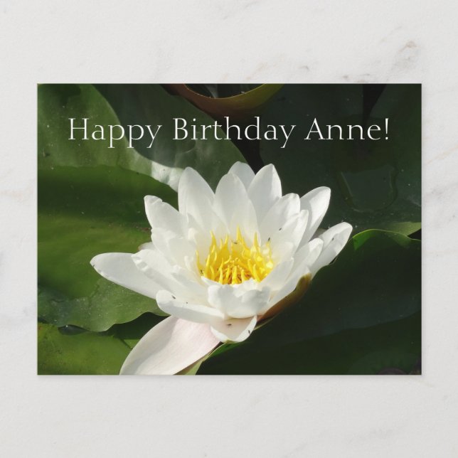 Birthday Card with Lotus Flower Postcard (Front)